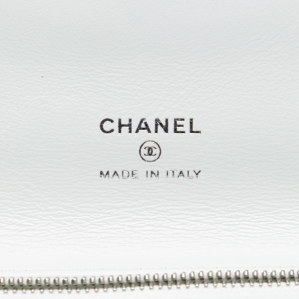 Pre-Loved Chanel Iridescent Aged Calfskin 31 Clutch - Picture 5 of 8